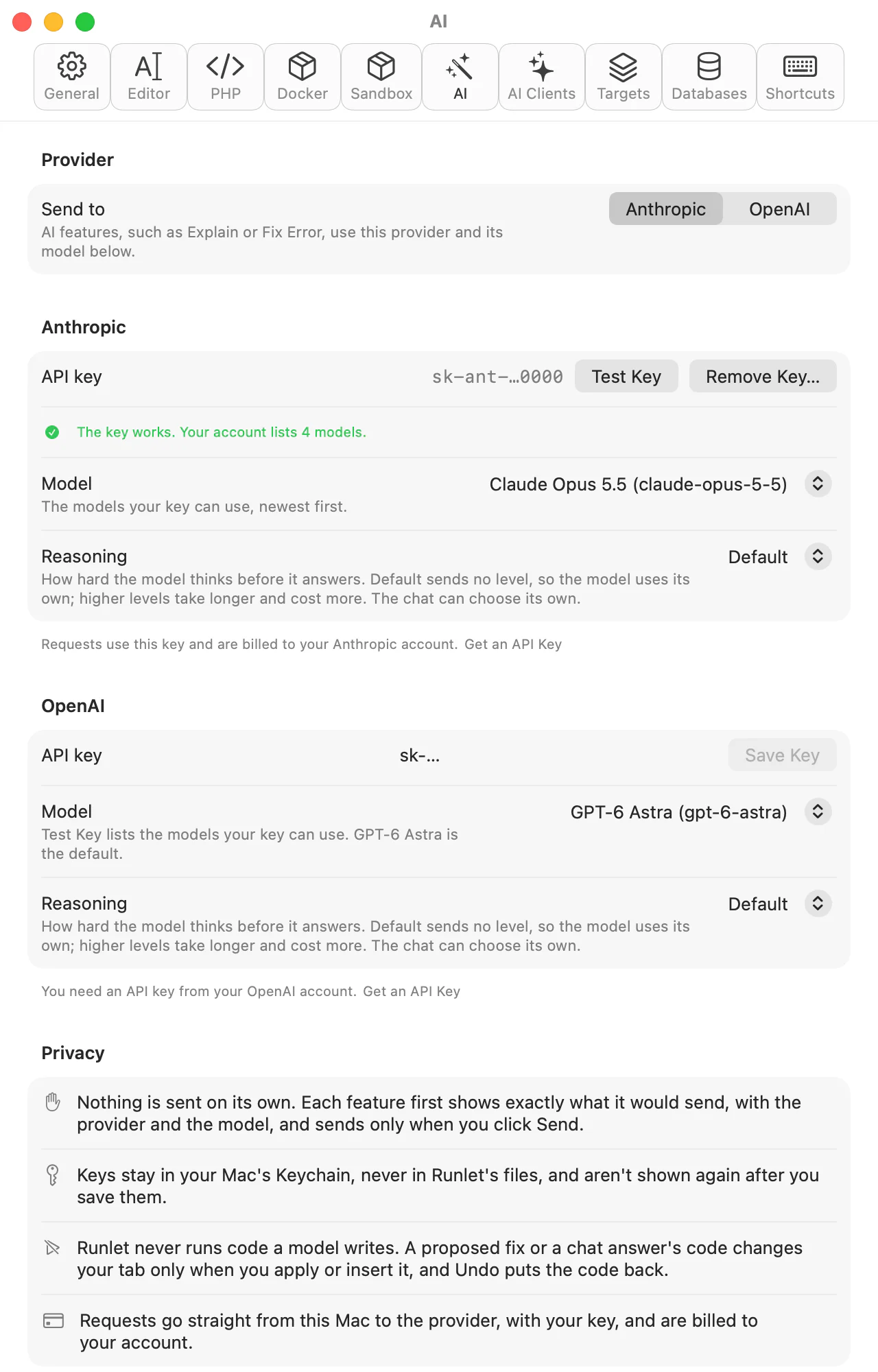 Settings ▸ AI with a saved Anthropic key shown masked, a note that the key works, the model and reasoning level for each provider, and the privacy rules
